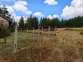 продавам ливада в землището на село Лилково община Родопи, снимка 6