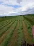 Рулонни бали сено и слама, снимка 1