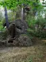 Парцел 530 кв.м сред борова гора, на 25 км от Боровец и 40 км от София, снимка 3