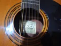 Класическа 12струнна китара ЕКО, снимка 9