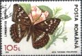 Клеймована марка Фауна Пеперуда 1993 от Румъния, снимка 1 - Филателия - 35728107
