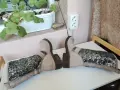 Дамски ботуши Естествена кожа 38н., снимка 10