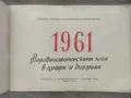 Книга Народностопанският план в цифри и диаграми 1961, снимка 3