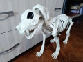 скелет на голямо куче за Хелоуин , снимка 2