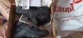 Salomon x 5 ultra Goretex №43 1/3-110евро,Kappa № 42-38евро,Тhimberland № 43-85 евро,ARO №42-20 евро, снимка 2