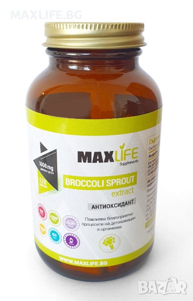 Хранителна добавка Broccoli Sprout 100 капсули - MAXLIFE Supplements, снимка 1