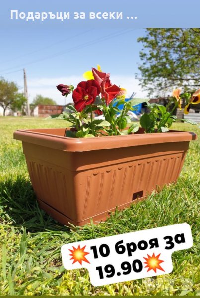 Промоция 8 броя сандъче 30 см Керемида с подложка за 19.90! САНДЪЧЕ ЗА ЦВЕТЯ, снимка 1