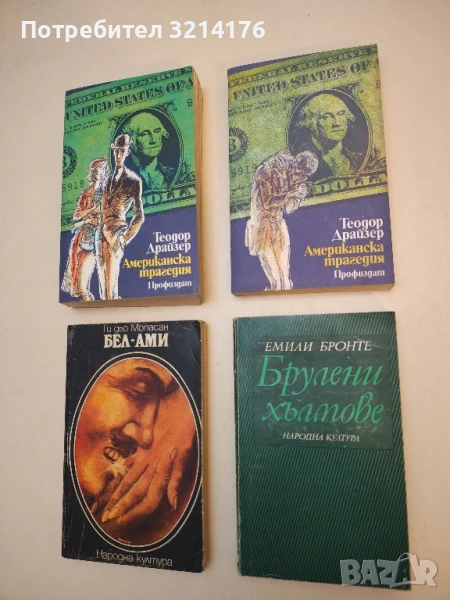 Брулени хълмове - Емили Бронте, снимка 1