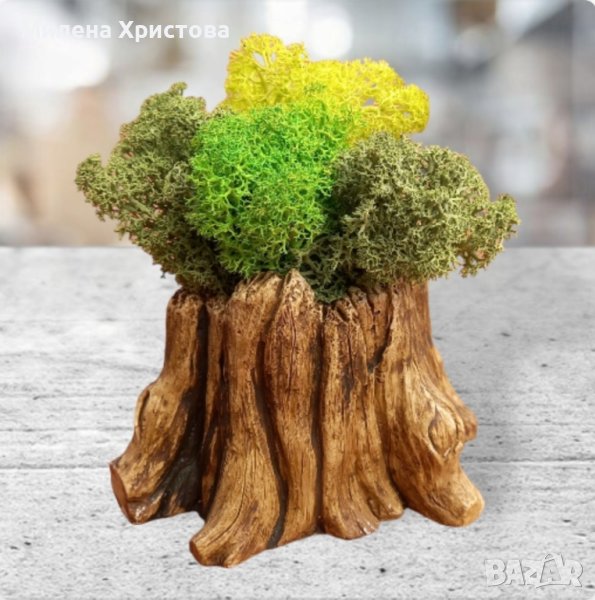 кашпа със скандинавски мъх , снимка 1