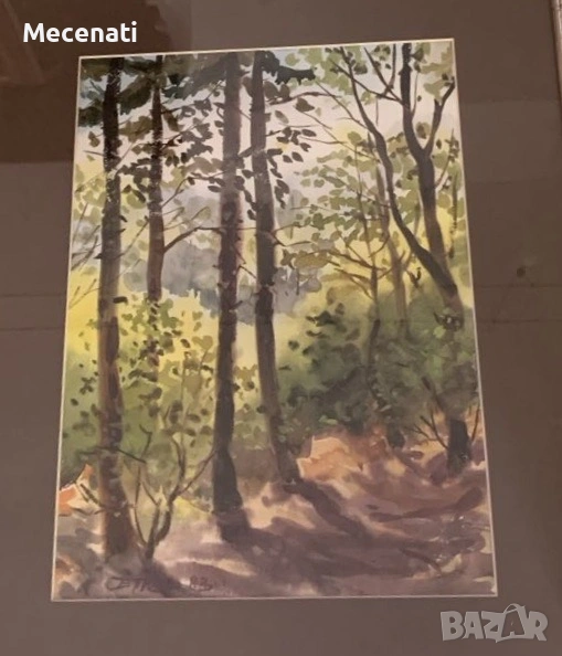 БИСЕРА ПРАХОВА - акварел , снимка 1