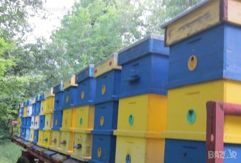 Спонсори за разработване на фабрика за пчелни кошери, снимка 1
