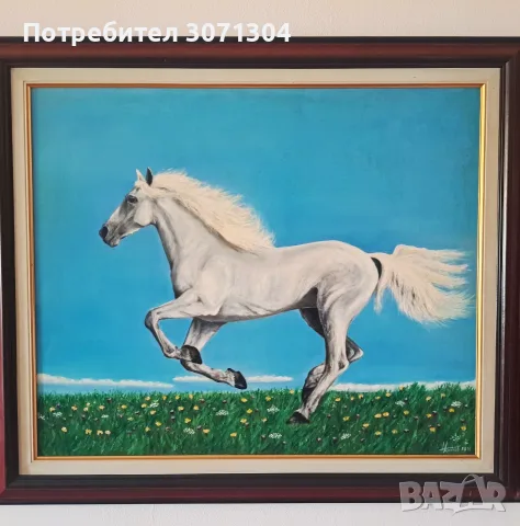 Бял кон в пролетно време., снимка 4 - Картини - 34799978