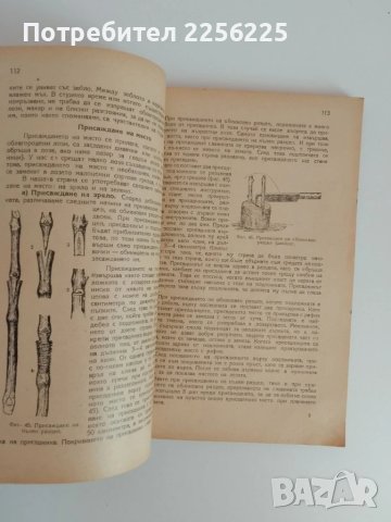 Ръководство по лозарство 1948г, снимка 8 - Специализирана литература - 51112806