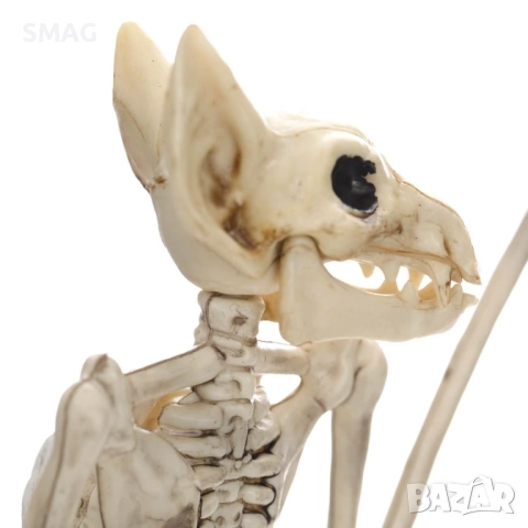 Halloween / Хелоуин реалистичен скелет на прилеп – лепяща декорация_1207605, снимка 3 - Декорация за дома - 52008627