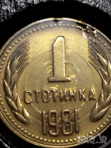 Една стотинка 1981г. с куриоз ., снимка 3 - Нумизматика и бонистика - 53038186