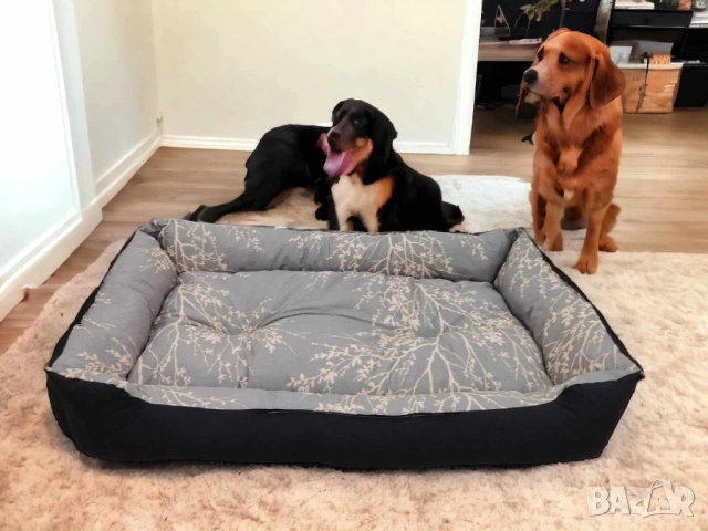 легла за домашни любимци 