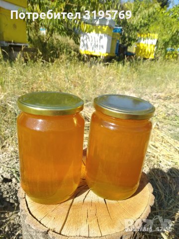 Натурален пчелен мед букет от липа и слънчоглед реколта 2023, снимка 2 - Пчелни продукти - 41721592