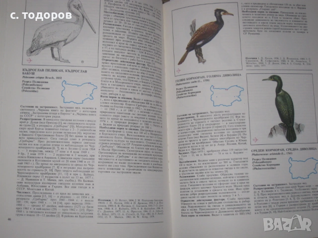 Червена книга на НР България. Том 1-2, снимка 4 - Енциклопедии, справочници - 53627030