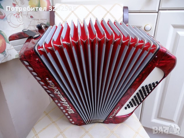 Нов акордеон Велтмайстер Каприс 40 баса, снимка 13 - Акордеони - 53702934
