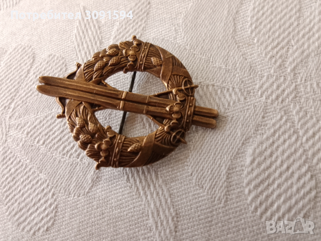 Колекционерска значка ,шведска военна ски част ,Втората световната, снимка 9 - Антикварни и старинни предмети - 44715706