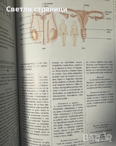 Болката - овладяване с природни средства: Пълно ръководство за самопомощ Безопасни и ефективни лечеб, снимка 7 - Специализирана литература - 44339457