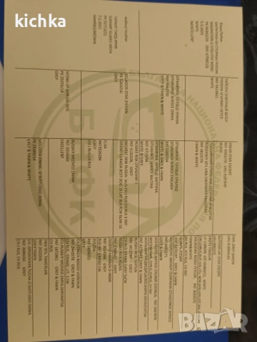 Кавказка овчарка, снимка 14 - Кавказка овчарка - 53840449