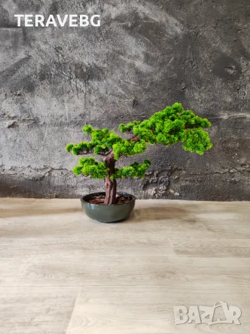 Изкуствено озеленяване по проект , снимка 3 - Декорация за дома - 48672449