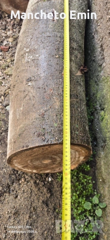 Продавам орехови трупчета , снимка 4 - Дърводелски услуги - 53302149