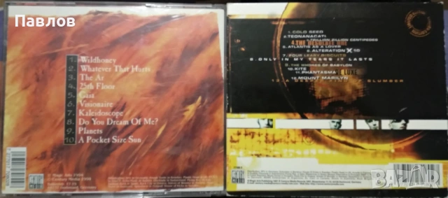 Tiamat - Wildhoney и A Deeper Kind Of Slumber оригинални компактдискове, снимка 2 - CD дискове - 53216757