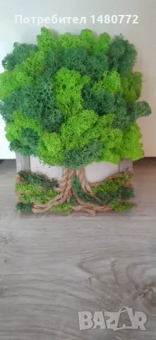 Дърво от скандинавски мъх в рамка, снимка 10 - Декорация за дома - 47986453