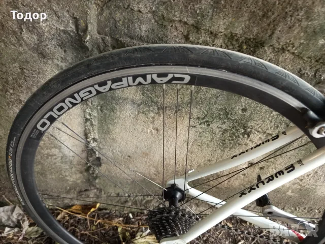 EddyMerckx Campagnolo , снимка 3 - Велосипеди - 55966021
