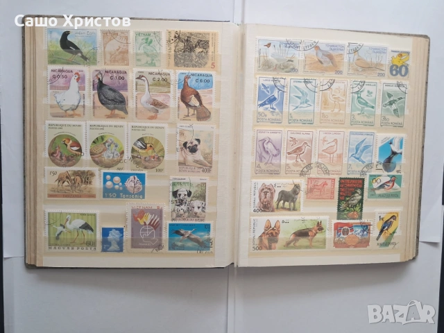 Пощенски марки тема ”Животни”., снимка 5 - Филателия - 53754416