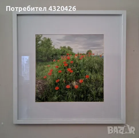 Рамкирани фотографии , снимка 1 - Картини - 48303814