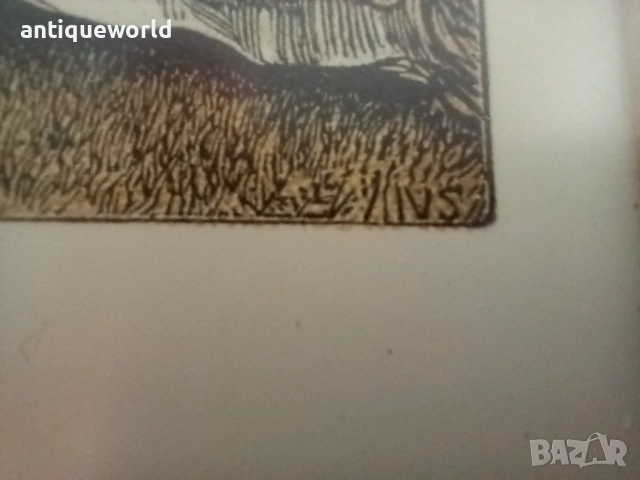 Стара Английска Картина "КРИКЕТ", снимка 5 - Антикварни и старинни предмети - 51698473