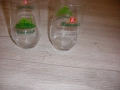 Чаши за бира, вода - Каменица, снимка 4