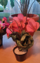 Изкуствени цветя за вашия дом или подарък , снимка 2