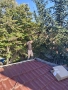 Ремонт на покриви Ремонт на покриви , снимка 2