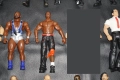 17 Кеч Фигури Stone Cold/The Rock/Chris Jericho/Cryme Tyme/Jeff Hardy/Alberto Del Rio/Wade Barret/, снимка 6