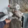 Продавам джинки, снимка 5