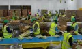 Работа в Ферма Англия за хора с статут, снимка 5