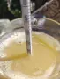 Мускат отонел  22° захарност, снимка 3