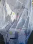 Детска количка Amelis 2в1, снимка 9