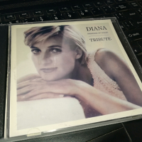 DIANA TRIBUTE X2 CD 0603241716, снимка 4 - CD дискове - 44638680