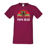 Мъжка тениска Papa Bear Дядо,Празник,Татко,Изненада,Повод,Рожден ден, Имен Ден,, снимка 5 - Тениски - 36504713