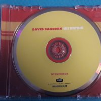 David Sanborn – 2010 - Only Everything(Fusion), снимка 4 - CD дискове - 42704476