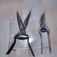Стари овощарски ножици за клони храсти от 50-те години., снимка 3 - Антикварни и старинни предмети - 37128258