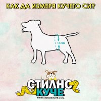 Хигиенни дрехи Хигиенна дреха за куче Гащи за куче Хигиенни гащи за средни-едри породи кучета, снимка 2 - За кучета - 34162652