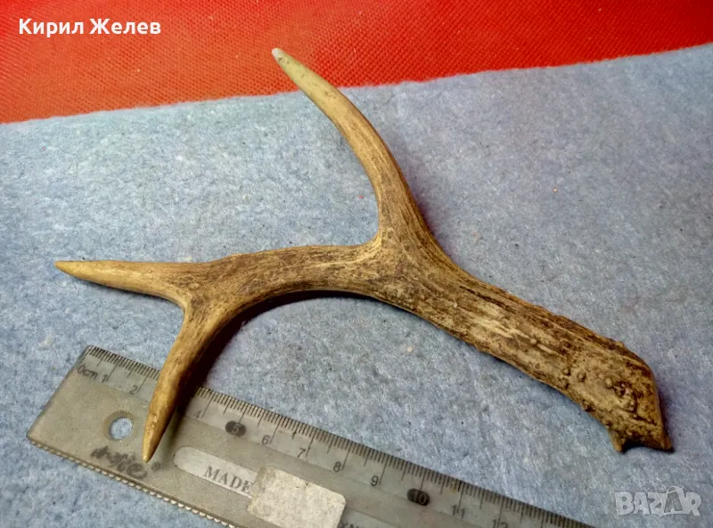 СТАР МАЛЪК ЕЛЕНОВ РОГ За КОЛЕКЦИЯ ЛОВНА ХИЖА ТЕМАТИЧЕН ИНТЕРИОР ДРЪЖКА За НОЖ 47626, снимка 1