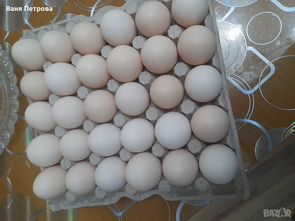 Яйца от свободни кокошки , снимка 1