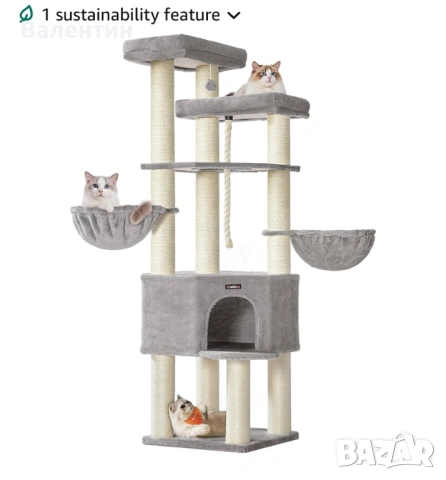 Голямо котешко дърво Мейн Куун 